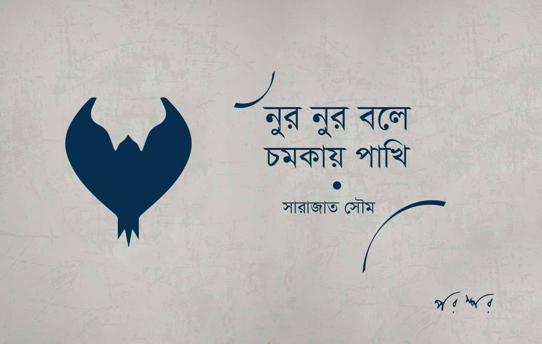 নুর নুর বলে চমকায় পাখি